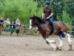 _DSC8090_web